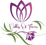 valley logo